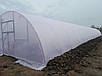 Теплиця термос 8х10м з наддувом зимова під «ключ» від виробника, фото 2
