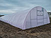 Теплиця 5х10м "Змонтуй сам" від виробника, фото 6