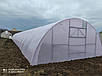 Теплиця 5х10м "Змонтуй сам" від виробника, фото 7