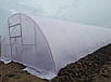Теплиця 5х8м "ДуоТерм" з наддувом від виробника, фото 9