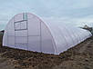 Теплиця 5х20м "ДуоТерм" з наддувом від виробника, фото 4