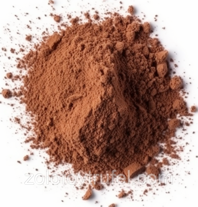 Какао порошок алкалізований 10/12% D102B, Best Way Foods, фото 1