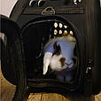 Сумка-транспортер для собак, котів і кроликів PURLOV 18270 (безпечна, чорна, для тварин до 6 кг), фото 8