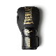 Боксерські рукавиці Everlast Elite 2 Boxing Gloves (P00003270) Black/Gold 10, фото 2