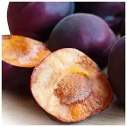 Абрикос "Мелітопольський чорний" (найврожайніший сорт чорних абрикосів)