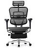 Крісло комп'ютерне Enrandnepr ERGOHUMAN ELITE 2 з підставкою під ноги сітка T-168-B1 Чорна, фото 2