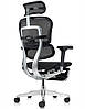 Крісло комп'ютерне Enrandnepr ERGOHUMAN ELITE 2 з підставкою під ноги сітка T-168-B1 Чорна, фото 4