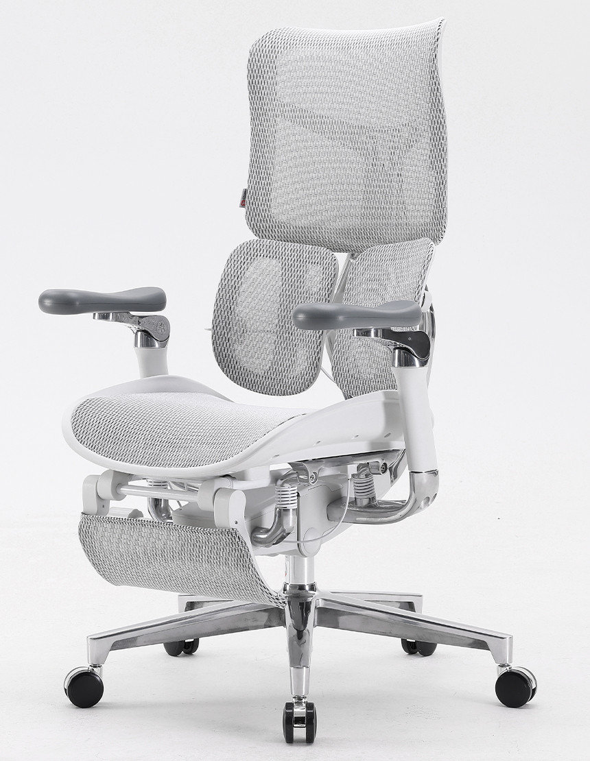 Крісло комп'ютерне Enrandnepr SIHOO DORO-S300 WHITE Сіра