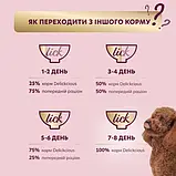 Delickcious Смужки з індичкою та сиром в крем-супі, фото 2