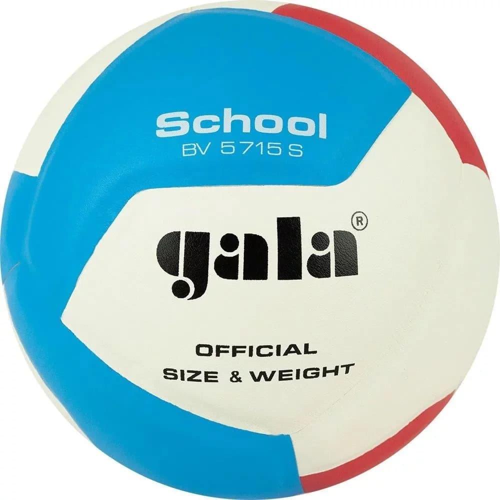 Волейбольний м'яч Gala School 12 BV5715S