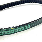 Ремінь варіатора 743х20 квадроцикла Bashan Shinerai Hummer 150 200, фото 5