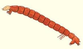 Ароматизатор Риба (Мотиль) харчовий рідкий водорозчинний ідентичний натуральному