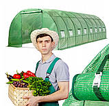 Теплиця, парник армована плівкова 24м2 VOLSO VS 08320 з вікнами 8 х 3 х 2 м зелена, фото 2