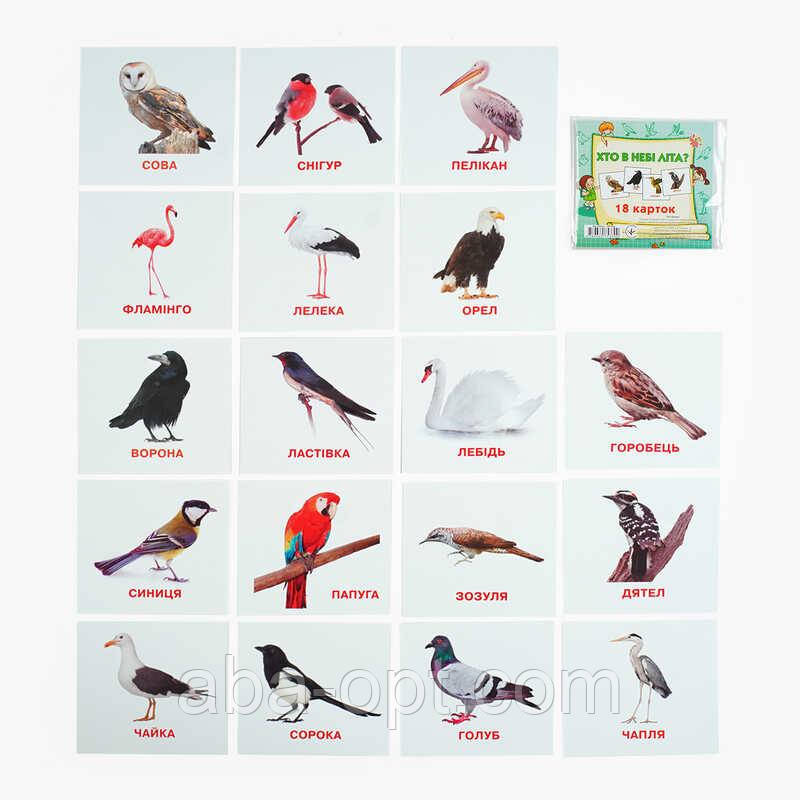 Гра Картки міні (18 карток) "Хто у небі літає" 9789669753700 (40) "Jumbi", фото 1