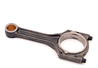 Шатун у зборі