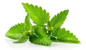 Ароматизатор М'ята (лимонна ,меліса ) харчовий рідкий водорозчинний ідентичний натуральному