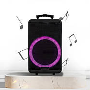 Акустична колонка переносна на колесах з 2 мікрофонами та пультом ZXX-7878 60Вт 15", фото 3