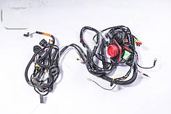 Джгут проводiв Газель Бiзнес дв.4216 Euro-3 2010р.в. (моторного вiдсiку) (вир-во Автопровiд) 2705-3724012