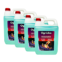 Паливо для біокамінів Naturalne Ognishko 5 л (комплект 4 шт)