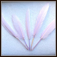 Пір'я натуральне блідо-бузкове (10 штук)