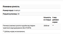 Печінка яловича від тварин трав'яного відкорму Codeage 500 мг 180 капсул, фото 3