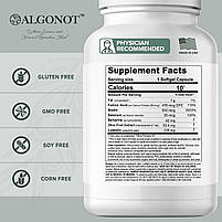 Algonot BrainGain для гостроти розуму та когнітивних функцій 90 гелевих капсул BX500, фото 3