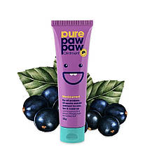 Бальзам для губ Pure Paw Paw Ointment (Blackcurrant) 25g