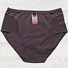 Бавовняні Труси з Сіточкою Мікс 16шт (8076), фото 2