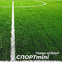 Гарна газонна трава ліліпут Спорт міні від Авторський газон пружня і витривала насіння + навчимо як сіяти