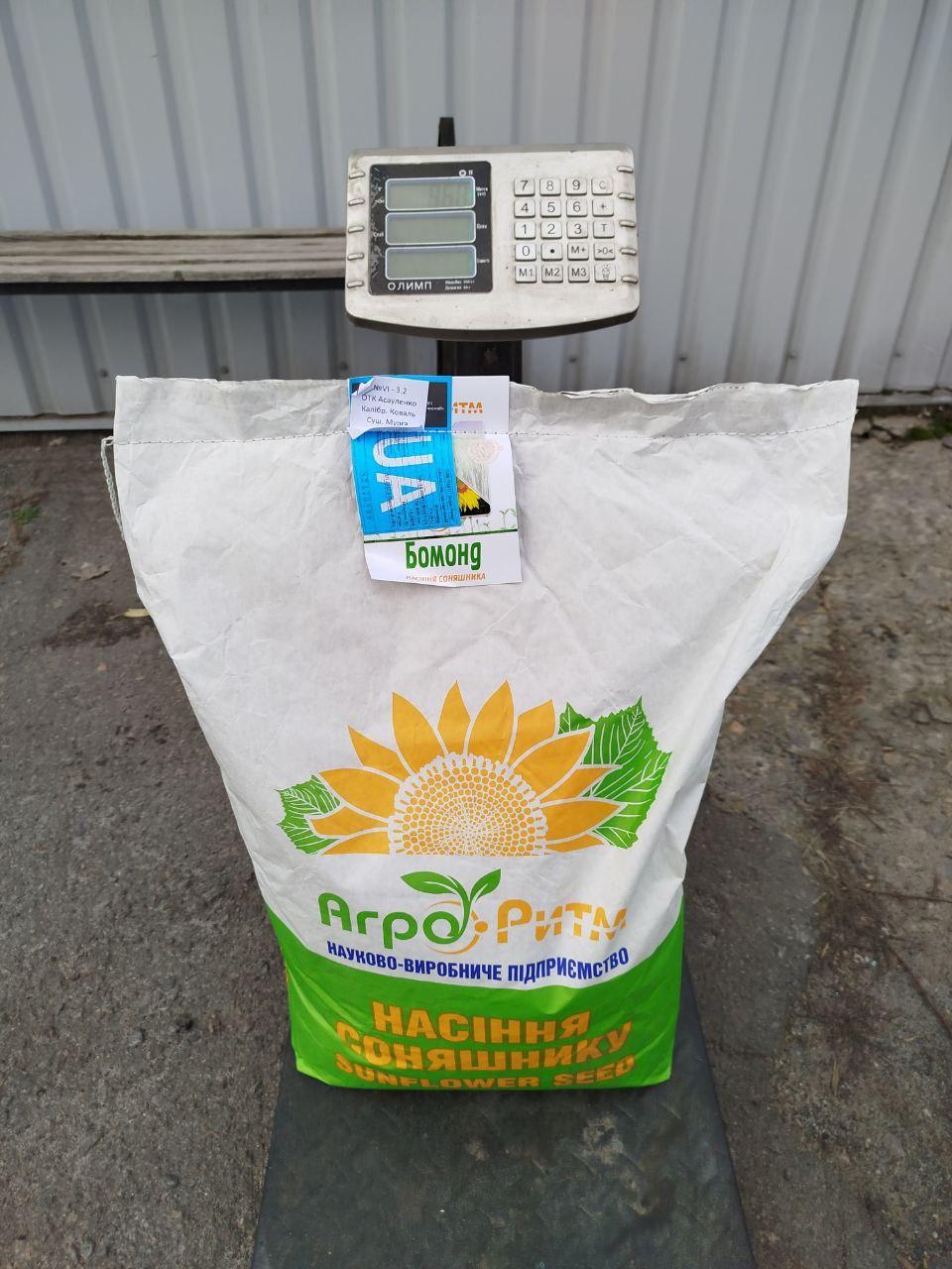 Насіння соняшника Бомонд під гербіцид Гранстар, фр. стандарт