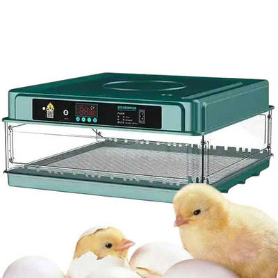 Инкубатор | купить недорого, на Prom | Украина