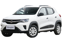 Дефлектори вікон (вітровики) для DFM EX1