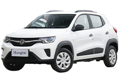 Дефлектори вікон (вітровики) для DFM EX1