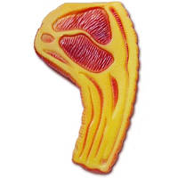 Іграшка для собак Біфштекс гумовий з пискавкою 62 г