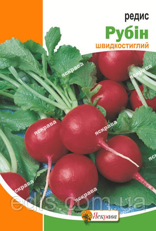 Редис Рубін 20 г, насіння Яскрава, фото 1