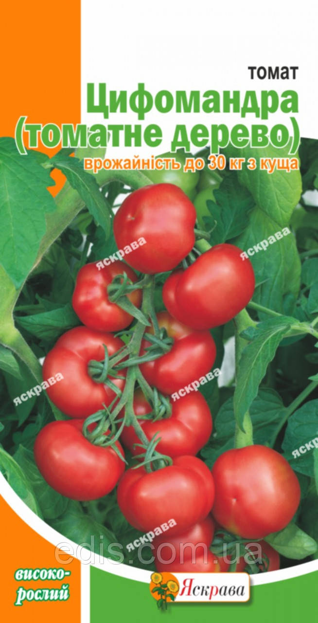 Томат Цифомандра (томатное Дерево) 3 Г, Семена Яскрава — Купить ...