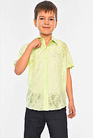 Рубашка детская мальчик салатовая 148499M