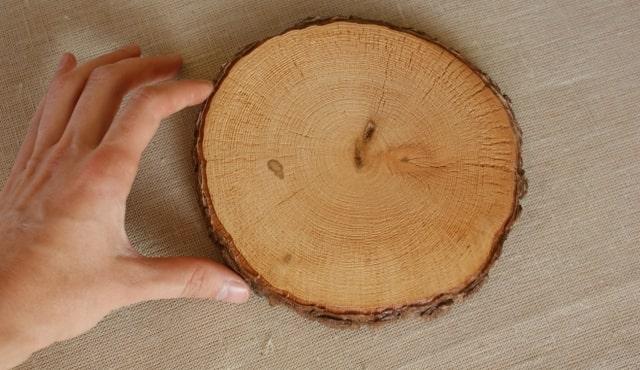 Зовнішній вигляд деревини вільхи меблева кромка купити