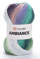 Пряжа Ambiance-166