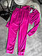 Жіночий велюровий костюм м'який спортивний костюмчик велюр спорт кофта на блискавці і джоггери, фото 6