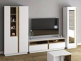 Меблева стінка у вітальню Grey (білий/ дуб Артизан), фото 2