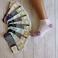 Акція! Шкарпетки жіночі ALBA короткі різнокольорові котики 38-41р | 12 пар