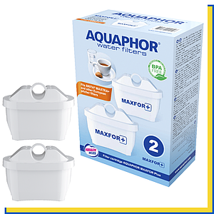 Картриджи Аквафор Максфор Плюс (В100-25 PLUS) набір з 2х модулів Maxfor