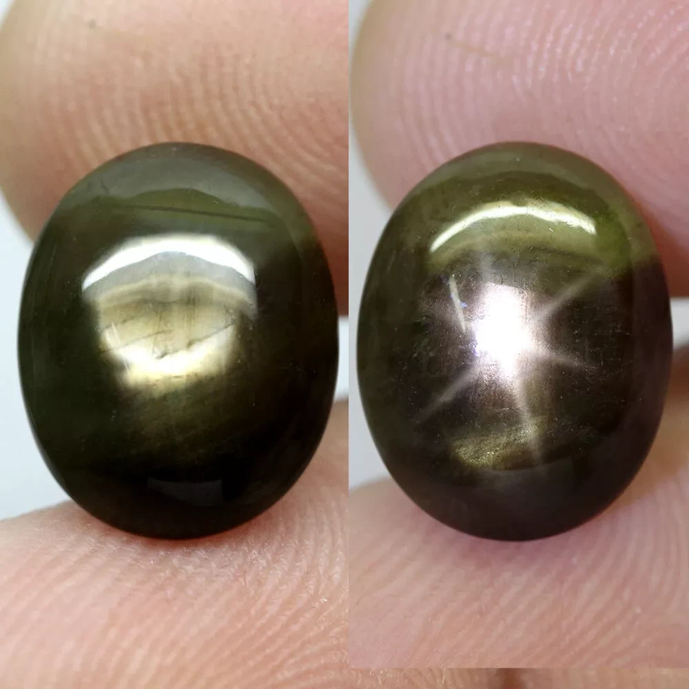 Зірчастий сапфір чорний 9.97 Ct 14.2 х 11.1 х 5.5 mm, фото 1