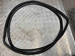 Б/В Ущільнювач дверей передніх лівих MAN TGX Euro 6 81626510097 / 81626510121