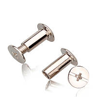 Болти для палітурки DA 10мм срібло 100шт (LH-101002)