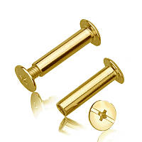 Болти для палітурки DA 20мм золото 100шт (LH-201001)