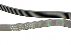 CONTINENTAL 7PK1675 — Ремінь генератора (+AC) на Рено Трафік III 1.6dci, фото 2