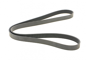 CONTINENTAL 7PK1675 — Ремінь генератора (+AC) на Рено Трафік III 1.6dci, фото 3