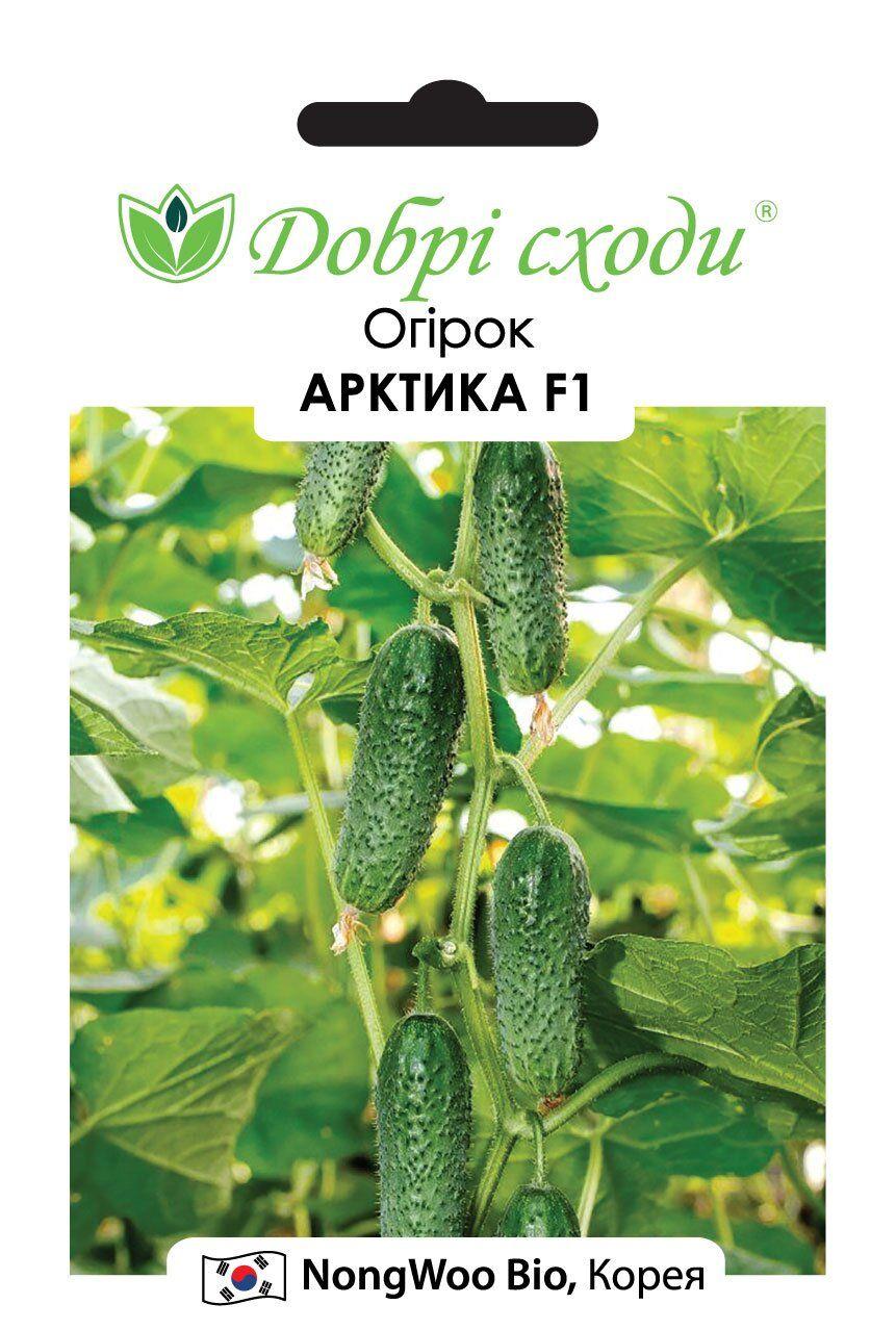 Огірок Арктика Ф1 10 шт